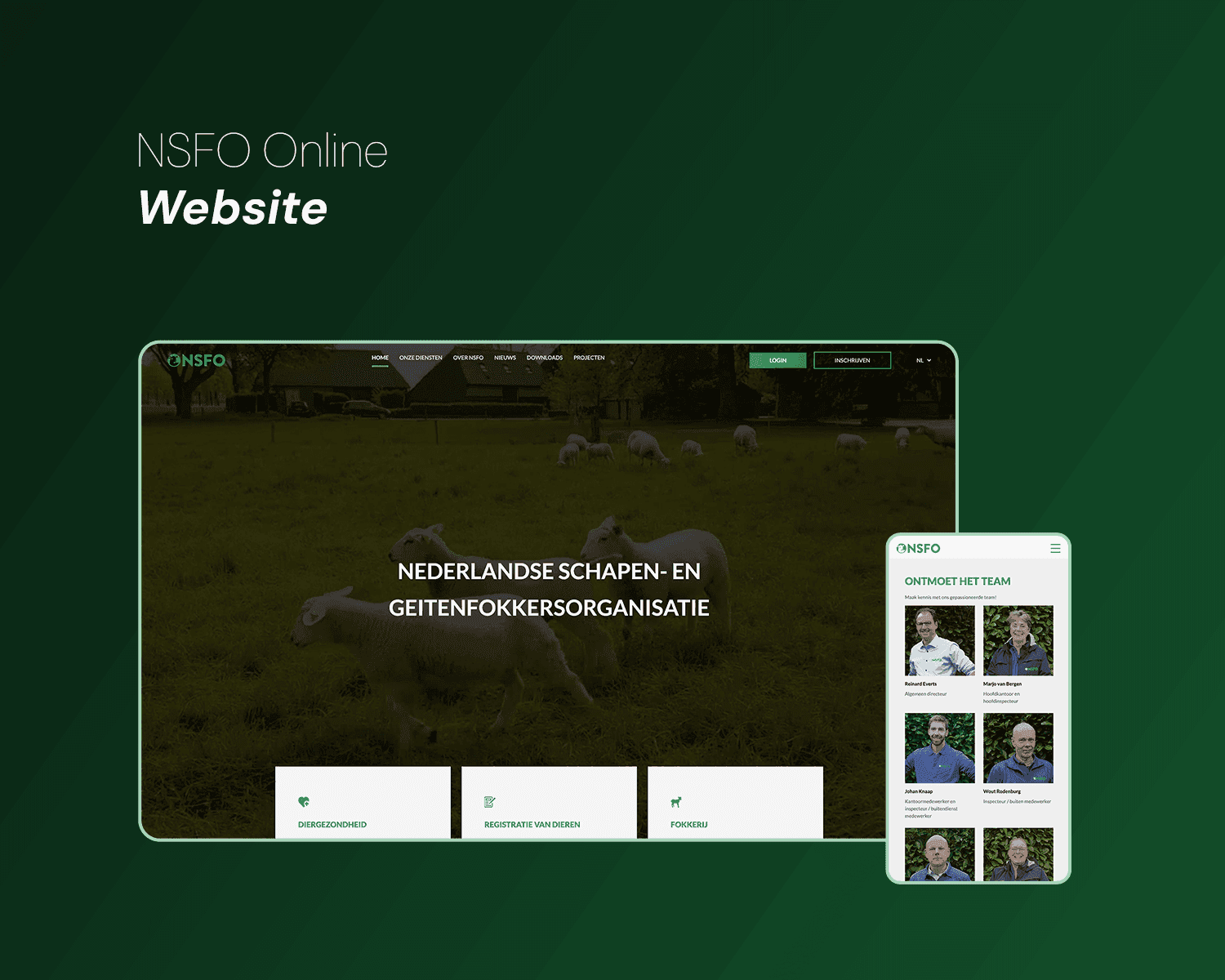 NSFO website