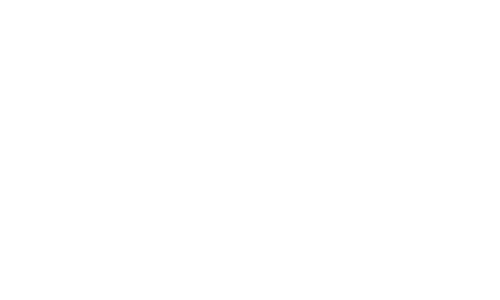 Flutter